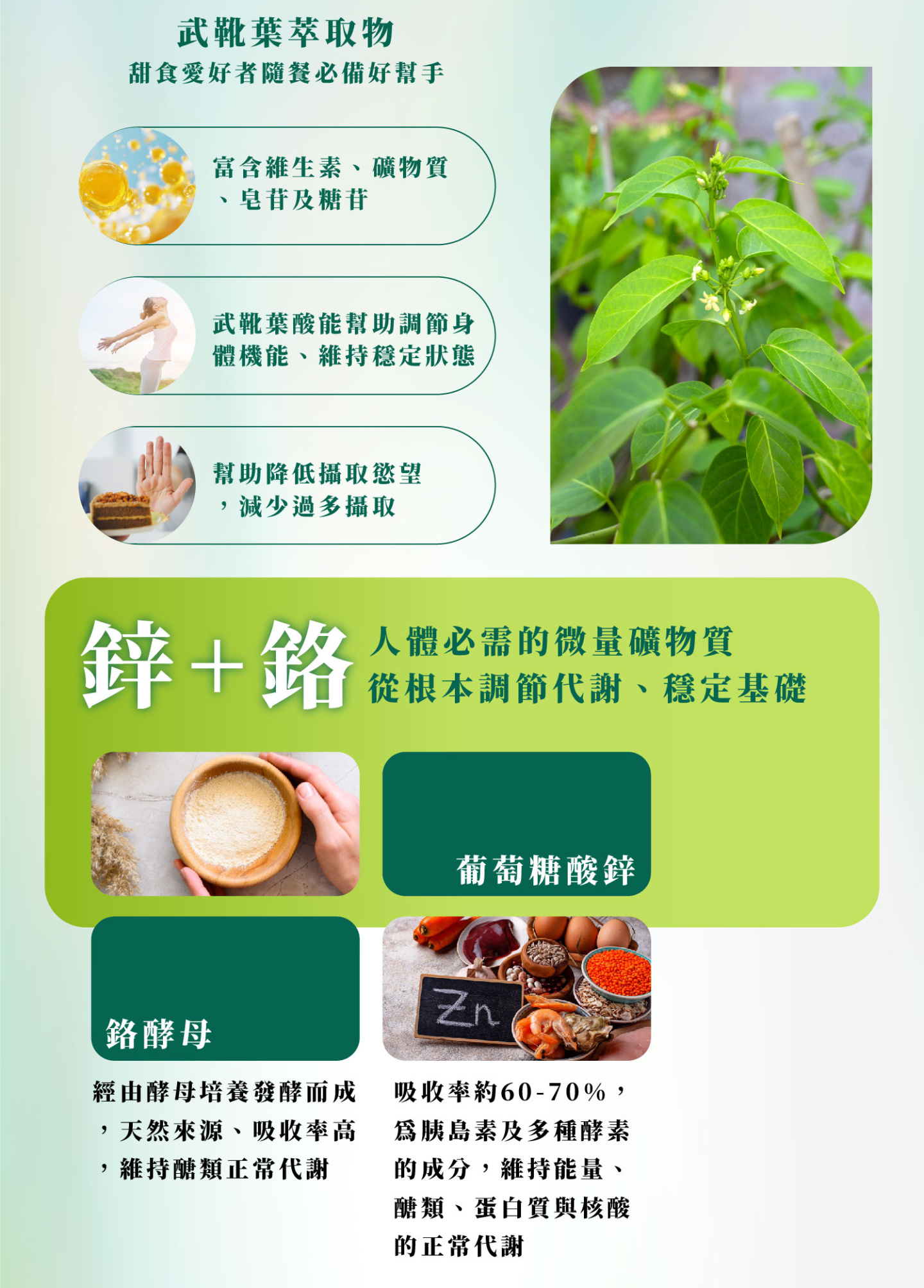 健餹樂苦瓜胜肽膠囊幫助穩定餐後波動，維持醣類代謝，喚醒代謝力並降低攝取慾望，避免過度攝取